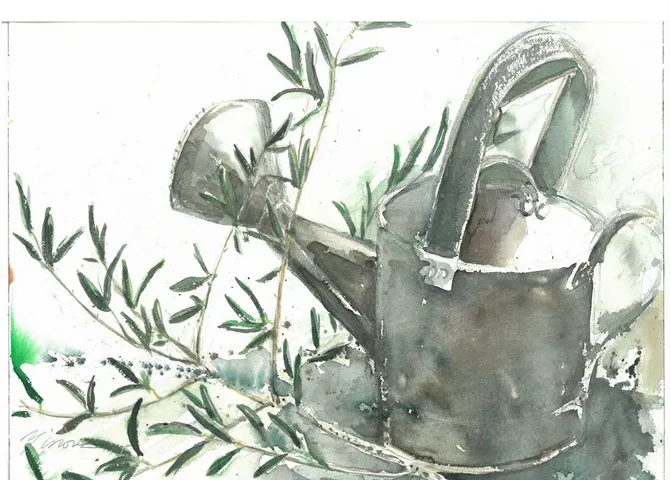 オリーブの葉のような植物と、黒っぽいじょうろが描かれた水彩の静物画