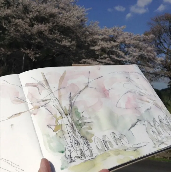 満開の桜の風景が水彩で描かれたスケッチブックを持っている写真